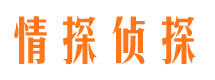 万载市私家侦探